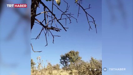 Teröristlerin kullandığı sığınakta bulunan patlayıcı imha edildi