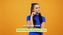 How to Remove Malwarebytes From Mac Toolbar (1(51O)-37O-1986) Malwarebytes Customer Service Phone Number