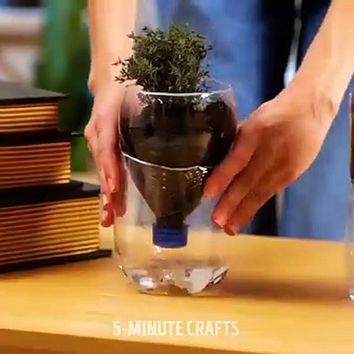 Do it YourSelf Videos 46