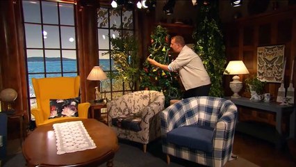 YIvis Holmen Ep3 (English subs)