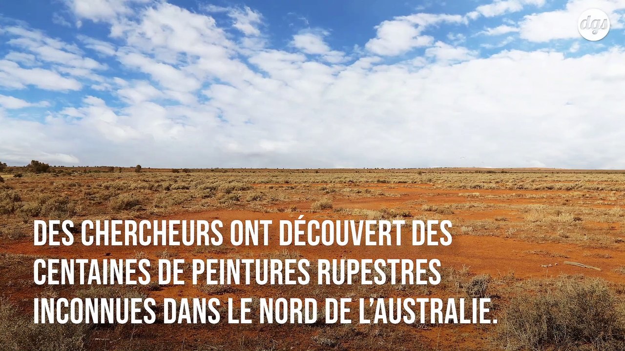 Découverte d’impressionnantes peintures rupestres en Australie