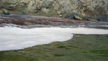 Disastro ambientale in Russia: schiuma giallastra nel mare della Kamchatka