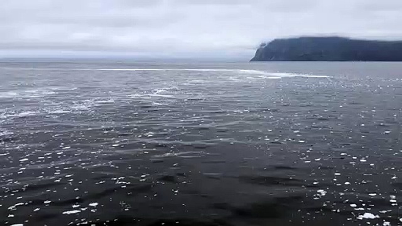 Allarme inquinamento in Kamchatka, nell’estremo oriente russo: Greenpeace sul posto