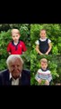 I baby di Cambridge innamorati della natura: le domande di George, Charlotte e Louis all'esperto Attenborough