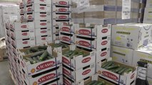 'Andaluces Compartiendo' dona más 400.000 kilos de alimentos