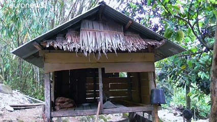 شاهد: لماذا تلجأ العائلات في إندونيسيا إلى تكبيل وسجن المرضى العقليين مع انتشار كورونا؟