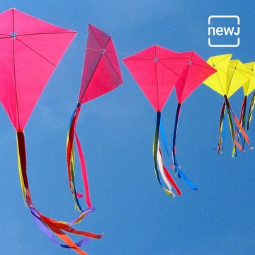 This 'Patang' Kite Museum In Ahmedabad Displays Over 100 Types Of Kites