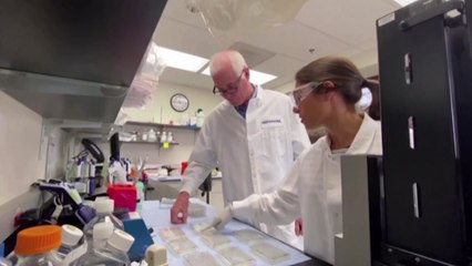 '대선 전 백신 고대' 백악관, "FDA 승인기준 강화 저지" / YTN