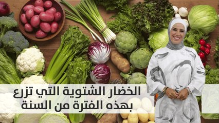 الخضار الشتوية التي تزرع بهذه الفترة من السنة