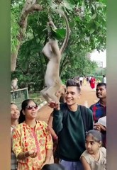 Monkey Funny TikTok video - It will make you laugh