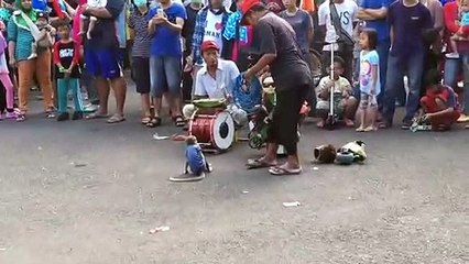 Walking street monkey show, Surabaya. Animal abuse or cultural show
