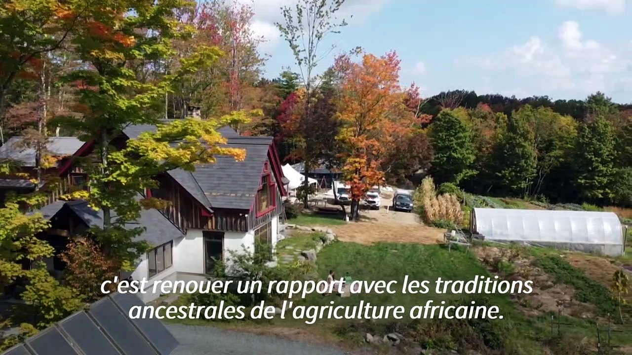 Les agriculteurs afro-américains veulent couper le racisme à la racine