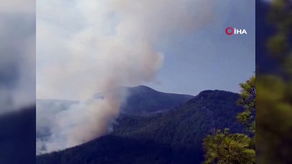 Antalya'daki yangında 10 hektarlık orman yandı