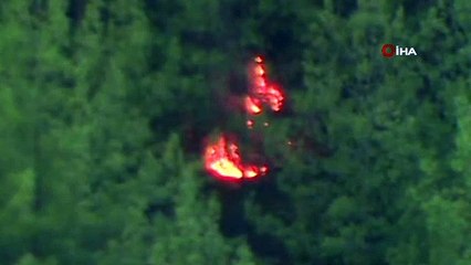 Antalya'daki yangında 10 hektarlık orman yandı