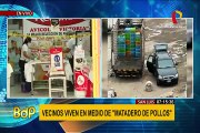 San Luis: vecinos exigen cierre de mataderos de pollos no autorizados