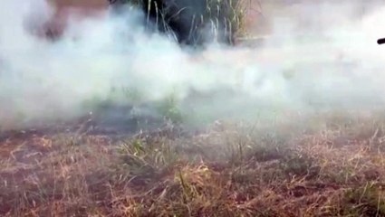 Incêndio atinge área de vegetação no Belmonte