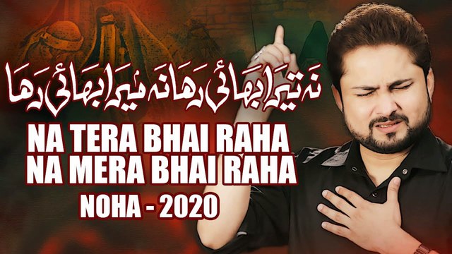 Nohay 2020 - Na Tera Bhai Raha Na Mera Bhai Raha - Syed Raza Abbas Zaidi Nohay - Bibi Zainab Noha