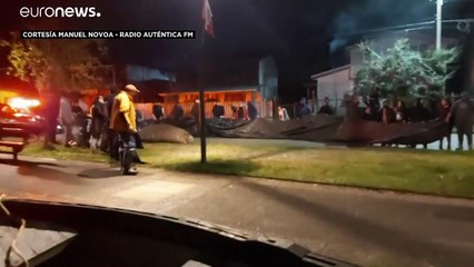 Un león marino se cuela en un barrio chileno