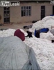 Using a lighter to open plastic bags at a COTTON WAREHOUSE...?