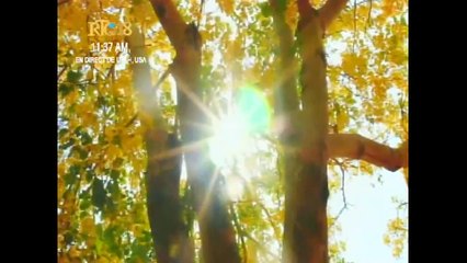 Legliz Jezikri pou Sen Dènye Jou yo