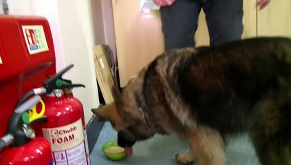 Ultimate Police Interceptors S05E08