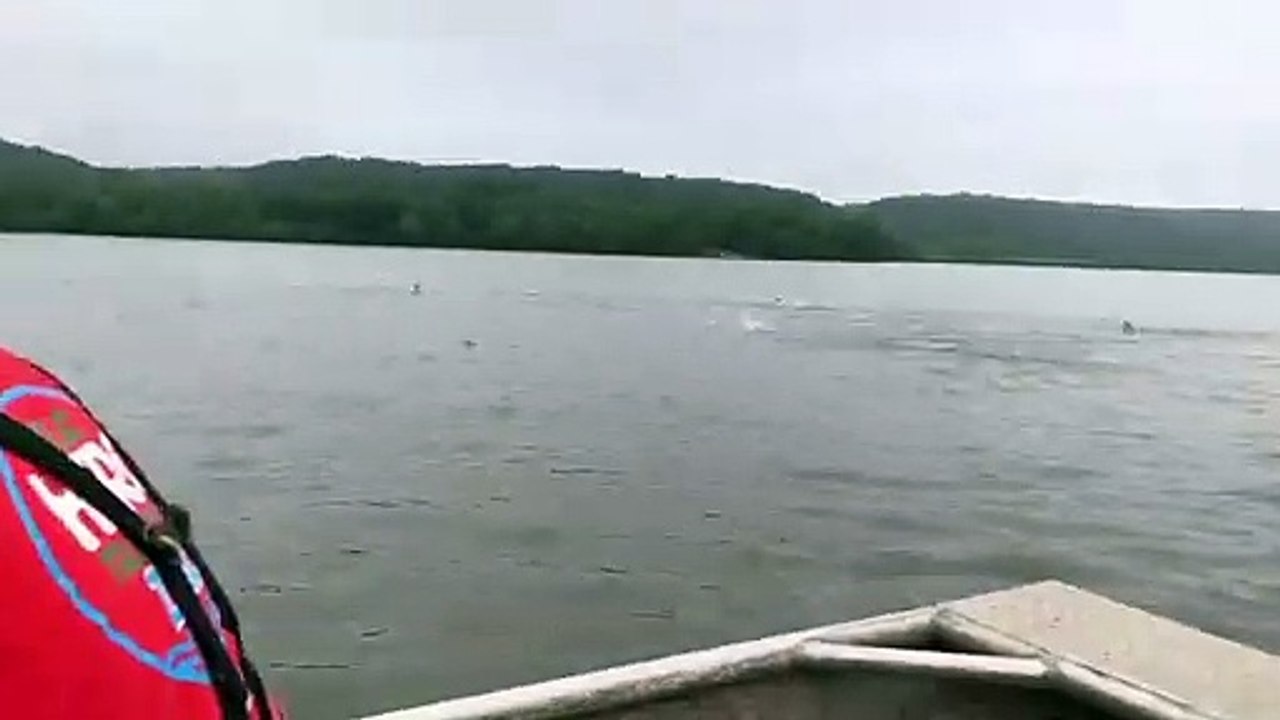 1000s of fishes jumping out of water near boat VID ID - VIDID