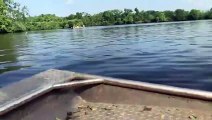beautiful  moment of sliver fish jumping out of water - SLOW MO VID ID - VIDID