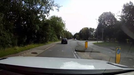 Cat Almost got hit by car VID ID - VIDID