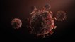 Coronavirus Update: Novavax Kicks Off Final Phase of COVID-19 Trial in UK