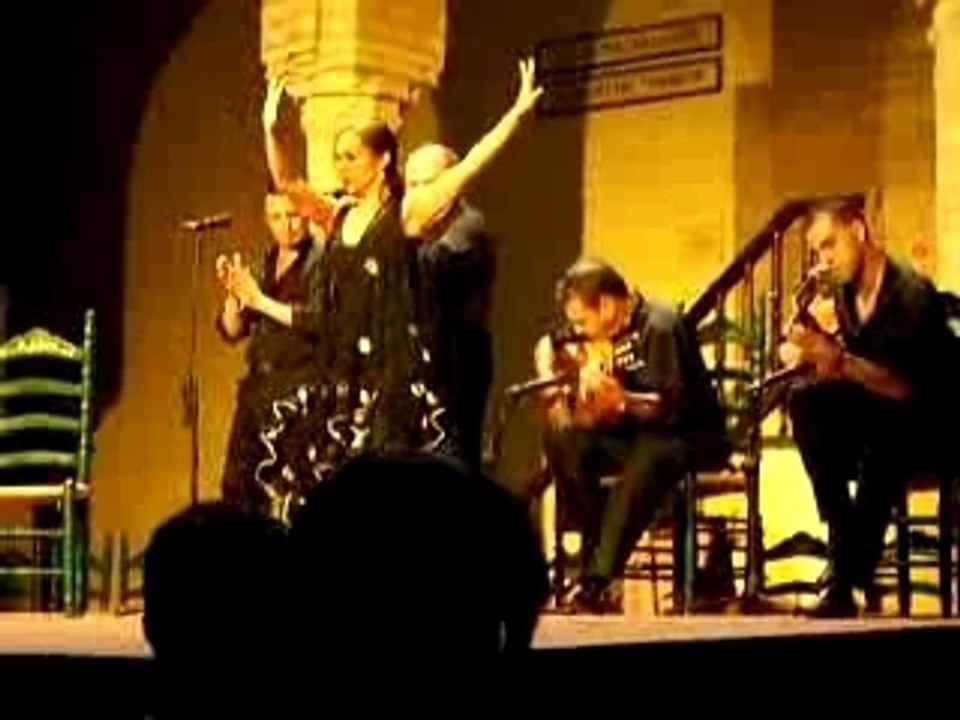 Cordoba Flamenco Espagne Espana danse cordoue baila
