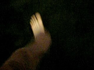 Image manequin léla juju 010