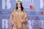 Billie Eilish's Followers Came to Her Defense Following a Body-Shaming Tweet
