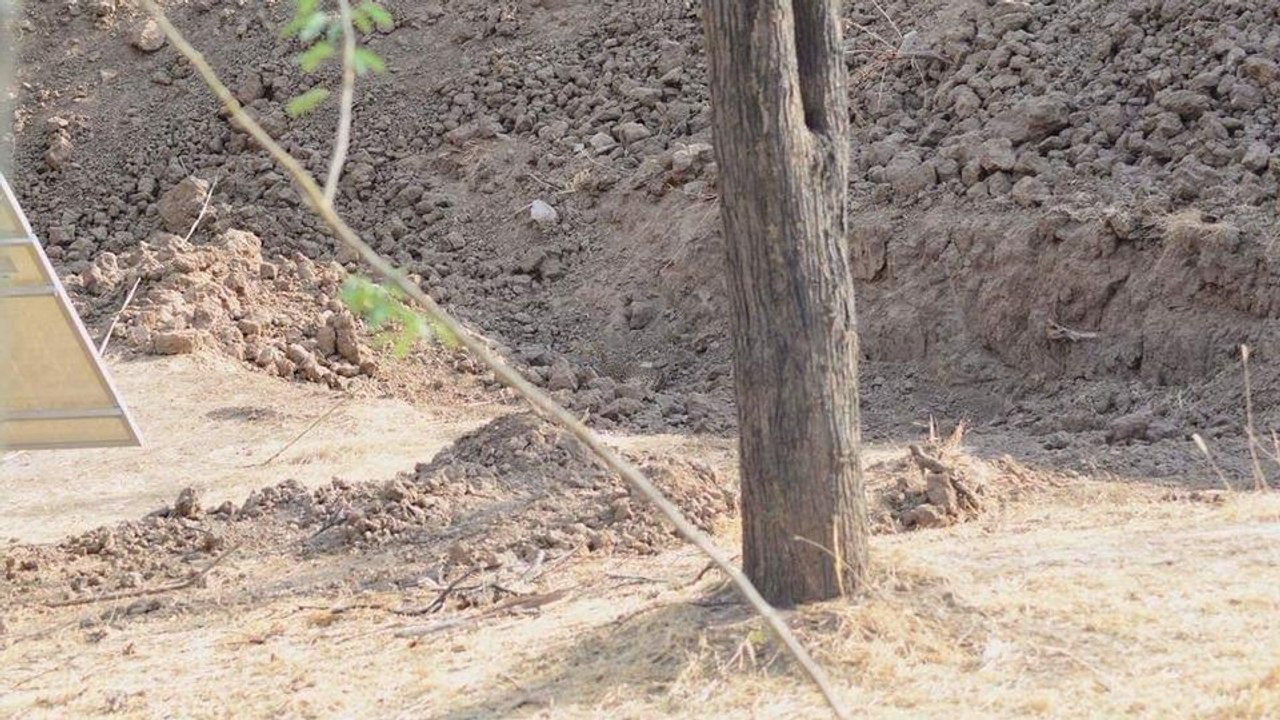 Où est le léopard ? Le nouveau casse-tête qui rend fou tout le monde