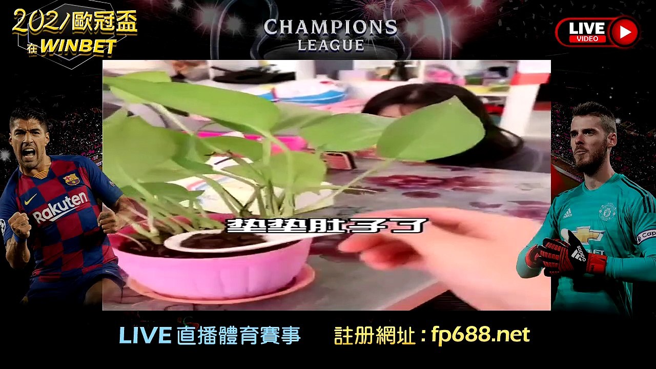 【日常搞笑】整女友_月饼呢，怎么一头栽进去月饼不见了 还吃土？