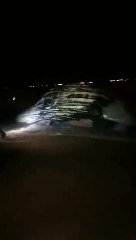 Togo : Une baleine échoue encore sur la plage de Lomé cette nuit