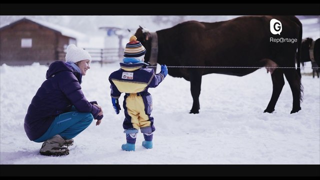 Reportage - Descente des Alpages... pour les vaches, fini les vacances à la montagne