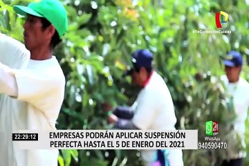 Suspensión perfecta de labores se extendería hasta el 5 de enero de 2021