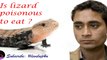 An Unhappy Lizard Story|Lizard Chipkali|Lizard Poison|Man Vs Wild Eating Lizard|Lizard Man Of India|Lizard Man Action Figure||Can Man Eat Lizard