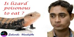 An Unhappy Lizard Story|Lizard Chipkali|Lizard Poison|Man Vs Wild Eating Lizard|Lizard Man Of India|Lizard Man Action Figure||Can Man Eat Lizard