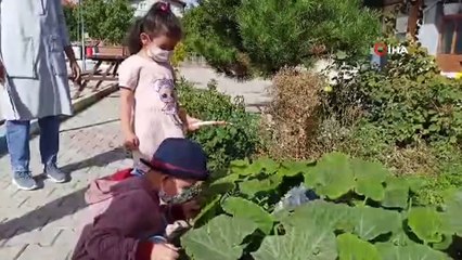 - Doğal yaşamı anaokulunda öğreniyorlar