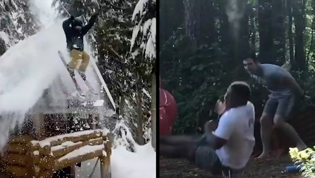 These Guys Are Really Falling Into Autumn