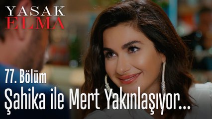 Şahika ve Mert yakınlaşıyor - Yasak Elma 77. Bölüm