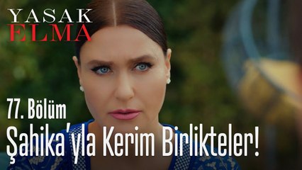 Şahika'yla Kerim birlikteler - Yasak Elma 77. Bölüm