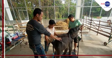 เรื่องพลบค่ำ (ช่วง 3) วันพุธที่ 7 ตุลาคม 2563