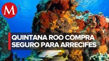 Previo a 'Delta', Quintana Roo adquirió seguro para proteger arrecifes contra huracanes