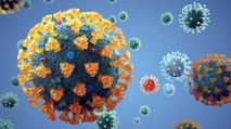 New coronavirus can last 9 hours on skin