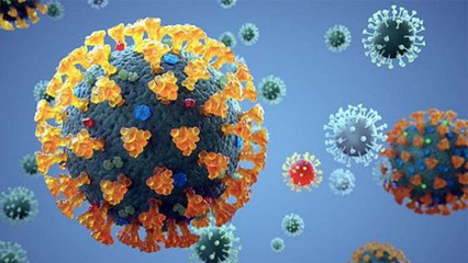 New coronavirus can last 9 hours on skin