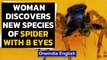 Australia: Woman discovers a new species of spider with 8 eyes|Oneindia News
