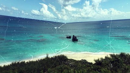 Trips and Travels 01