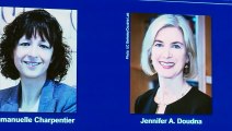 Premio Nobel de Química para las creadoras del método de edición del genoma Crispr